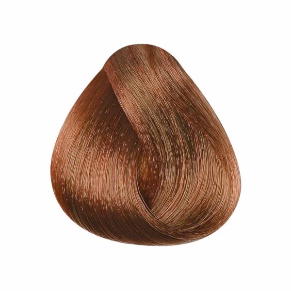 PBF Beat Level 7 Colours (60mL)